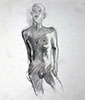 a preview image of a drawing of the human figure